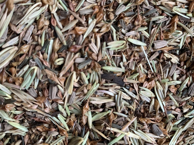 Native Seed Solutions For Problem Areas In Your Landscape