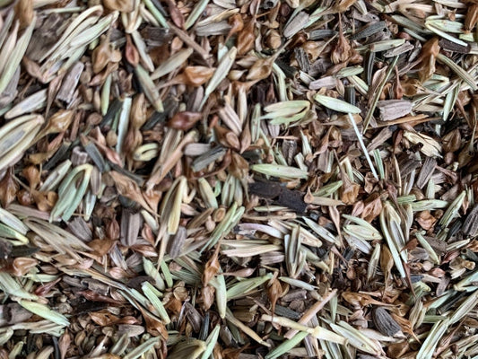 Native Seed Solutions For Problem Areas In Your Landscape