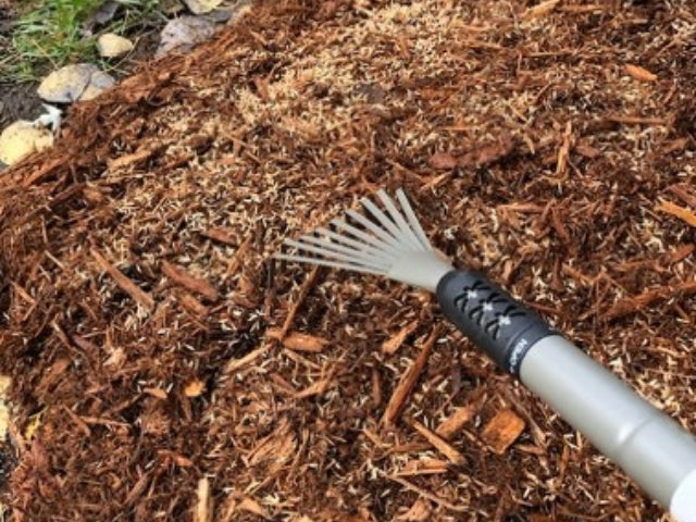 Prepping A Bed For Native Seed