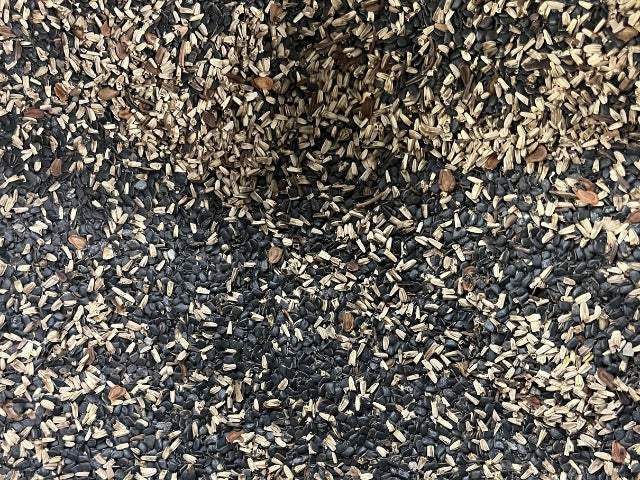 When Should You Plant Native Seed