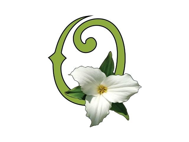 ontario wildflower seeds ONPM Short Pollinator Garden Native Seed Mix – OPN Seed