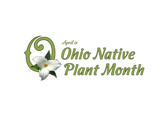 ohio native plant seeds ONPM Tall Pollinator Garden Native Seed Mix