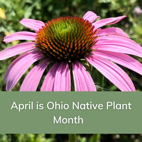 April is Ohio Native Plant Month