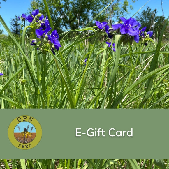 OPN Seed E-Gift Card