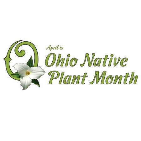 ohio native plant seed mix ONPM Tall Pollinator Garden Native Seed Mix
