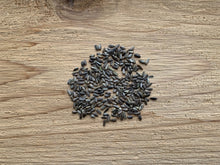 Load image into Gallery viewer, Helianthus mollis - Hairy Sunflower
